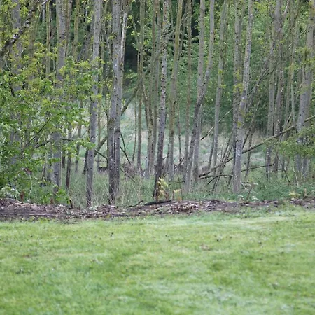 Forsthof Everstorf * Grevesmuehlen