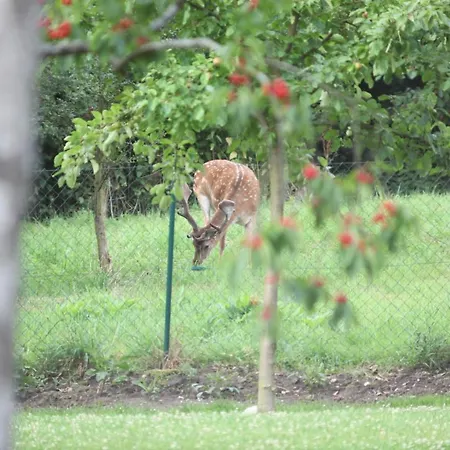 Lejlighed Forsthof Everstorf *