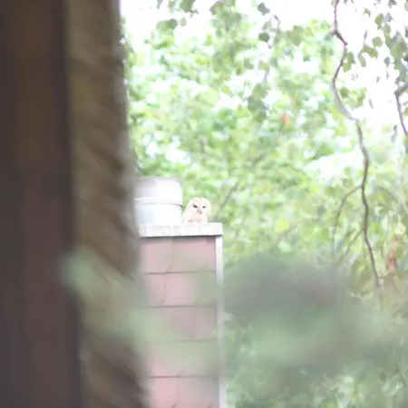 Appartamento Forsthof Everstorf *