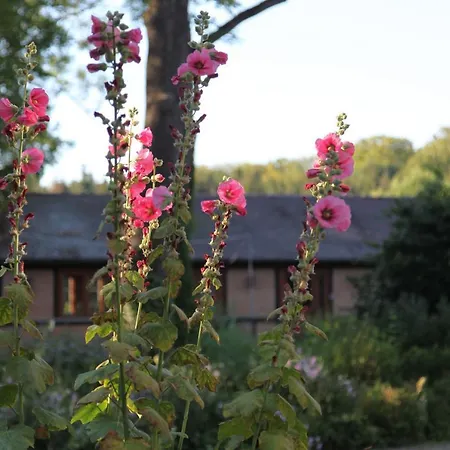 Appartamento Forsthof Everstorf *