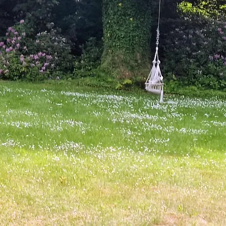 Forsthof Everstorf *