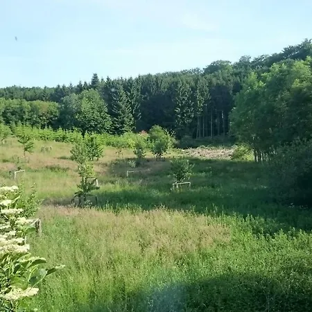 Forsthof Everstorf Apartmán Grevesmuehlen