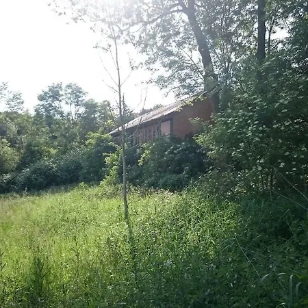 Lejlighed Forsthof Everstorf *