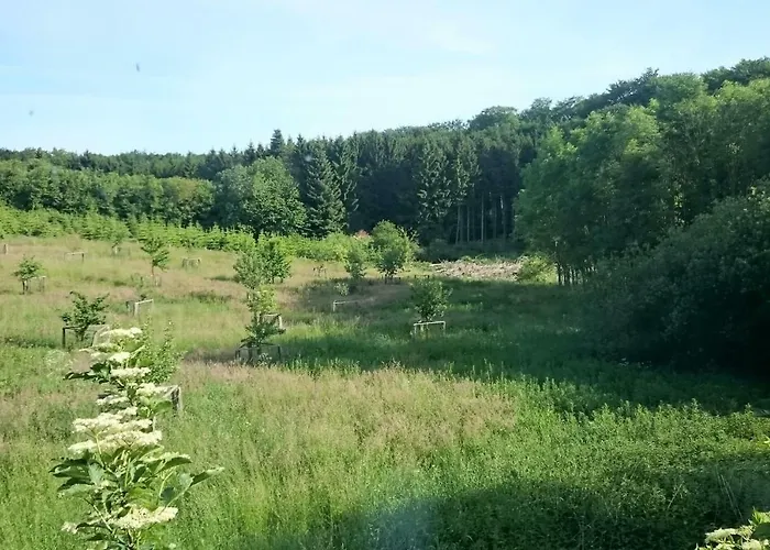 Forsthof Everstorf Appartamento Grevesmuehlen